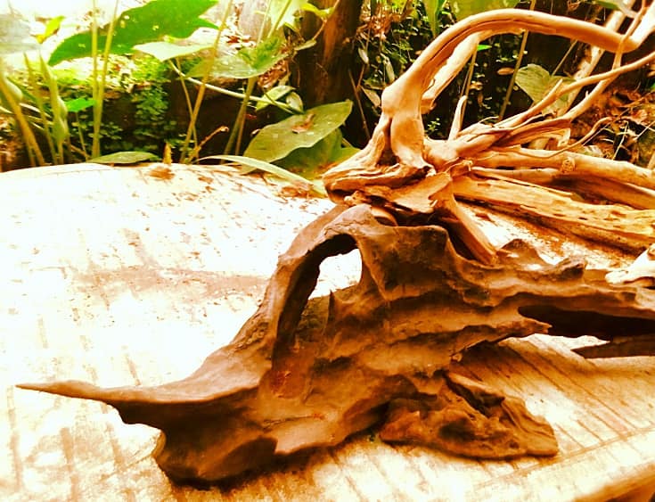 Coastal Driftwood sculptures