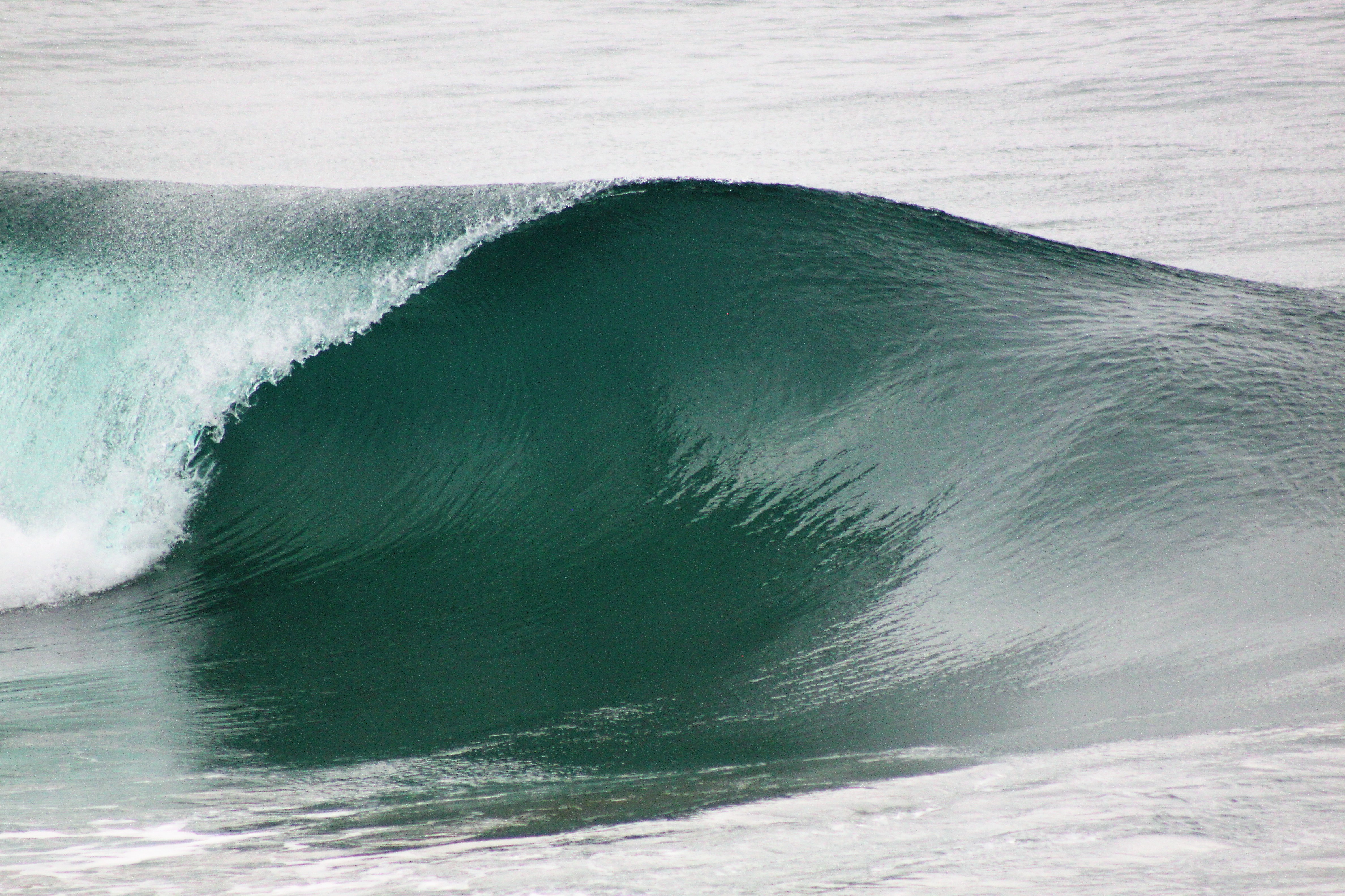 The Perfect Swell Print